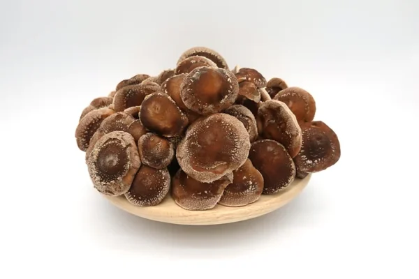 Shiitake mushroom