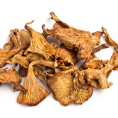 Dried Chanterelle Mushrooms Large