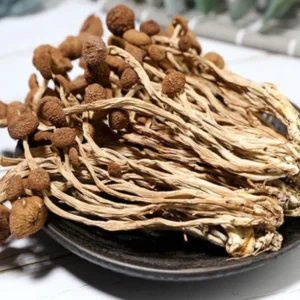 dried mushrooms